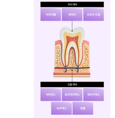 Puriven Purple Powder Toothpaste