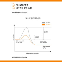 Dambaek Haru Enzymes / 담백 하루 효소