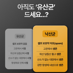 LATO BOOSTER / 락토부스터