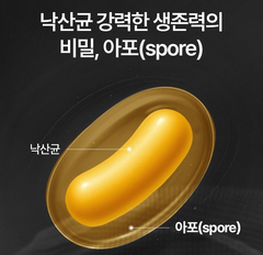 LATO BOOSTER / 락토부스터