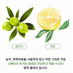 Mampick Olle shot Organic Olive Oil Lemon Juice Extra Virgin Olive Lemon Shot (2BOX) / 올리브 레몬 샷