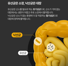 LATO BOOSTER / 락토부스터