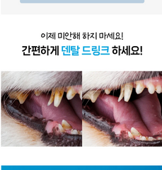 Bon A Pety Pet Dental Drink