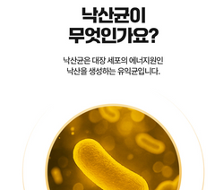 LATO BOOSTER / 락토부스터