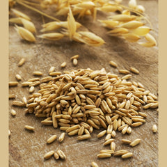 Dambaek Haru Enzymes / 담백 하루 효소