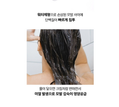 Phytopecia treatment / 피토세피아 트리트먼트