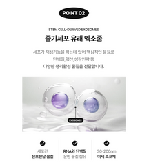 TAMZ SHAMPOO / 홍진경 탐즈 샴푸