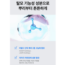 Refilled Cytokine Hair Tonic Booster / 헤어토닉 부스터