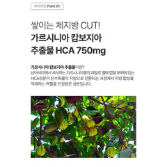 BYIET / 바이어트