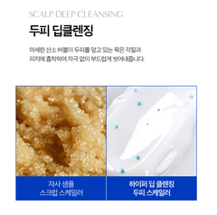 F:B HYPER DEEP CLEANING SCALP SCALER