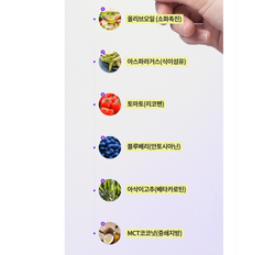 빼빼주스 2BOX