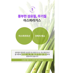 빼빼주스 2BOX