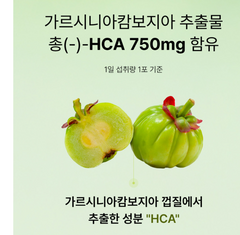 올데이 슬림컷