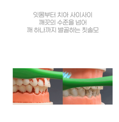 Smize Fine-Bristle Toothbrush