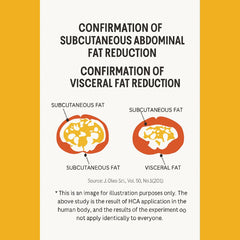 Like Sarah Apple Cider Vinegar / 사라처럼 애사비