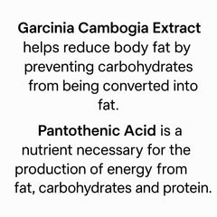 Like Sarah Apple Cider Vinegar / 사라처럼 애사비