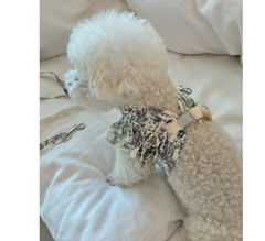 뜨왈드주이 하네스 + 리드줄 셋트 강아지옷