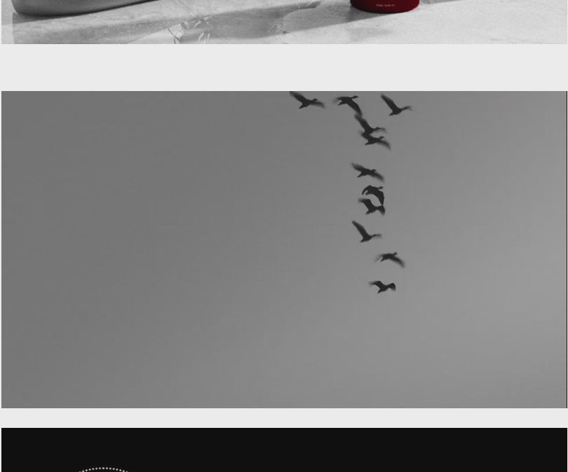 TAMZ SHAMPOO / 홍진경 탐즈 샴푸